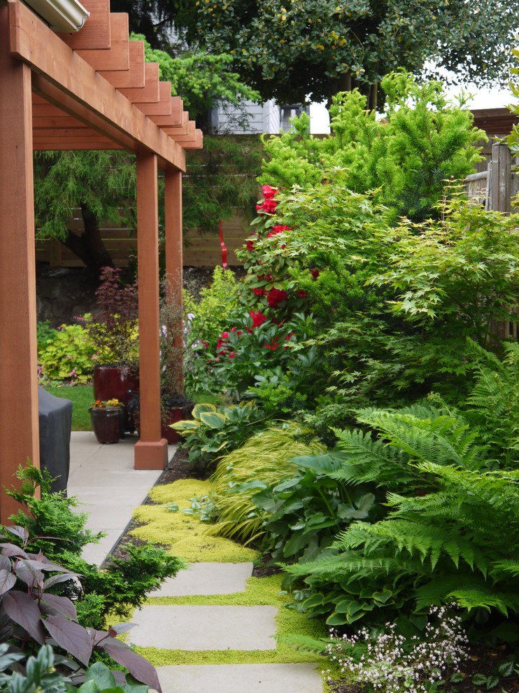 Inspiration for a midcentury garden in Seattle.