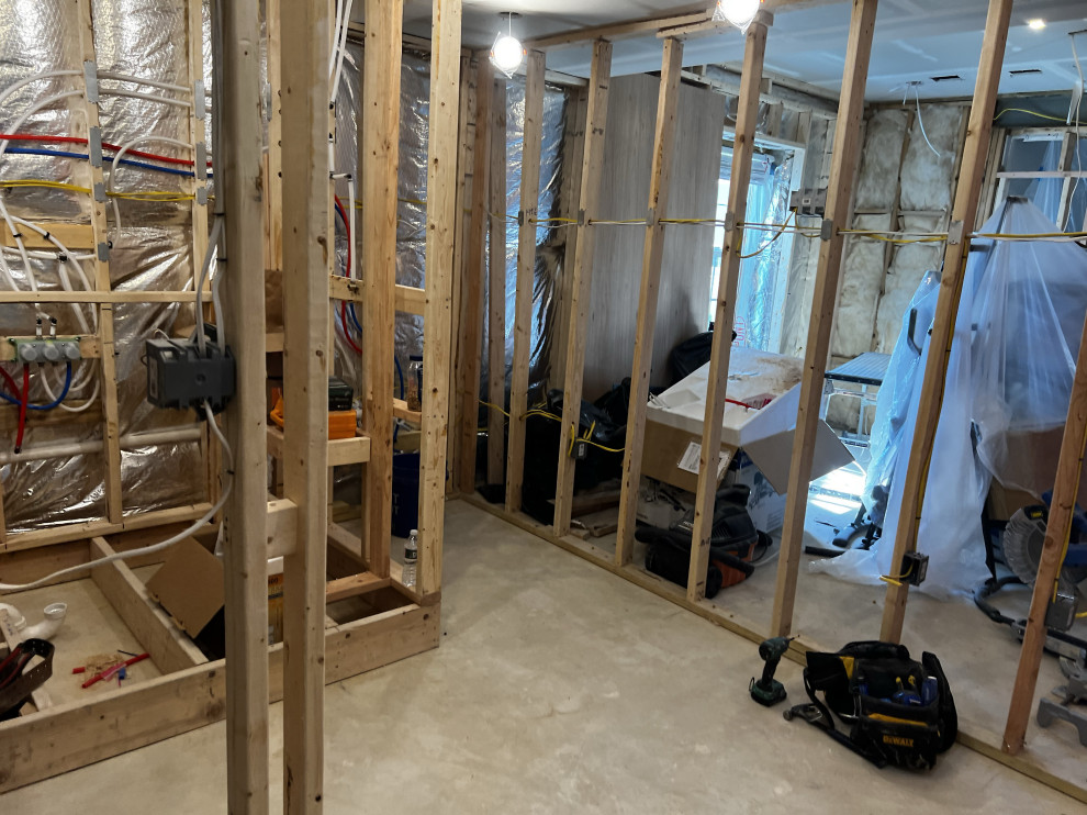 Basement Remodel