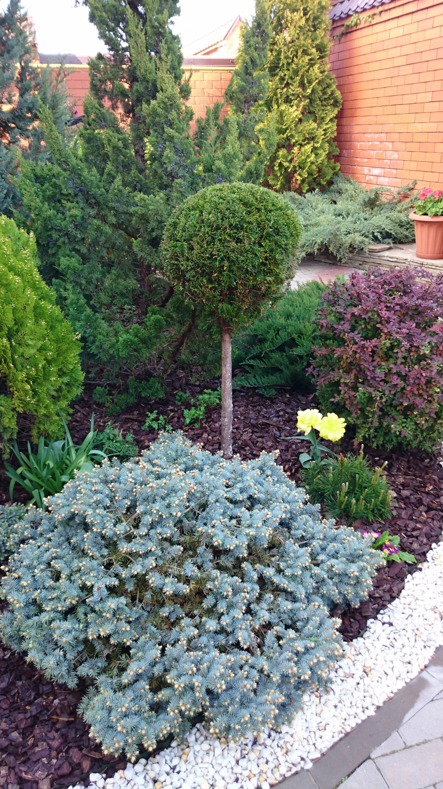 Оазис среди каменных джунглей