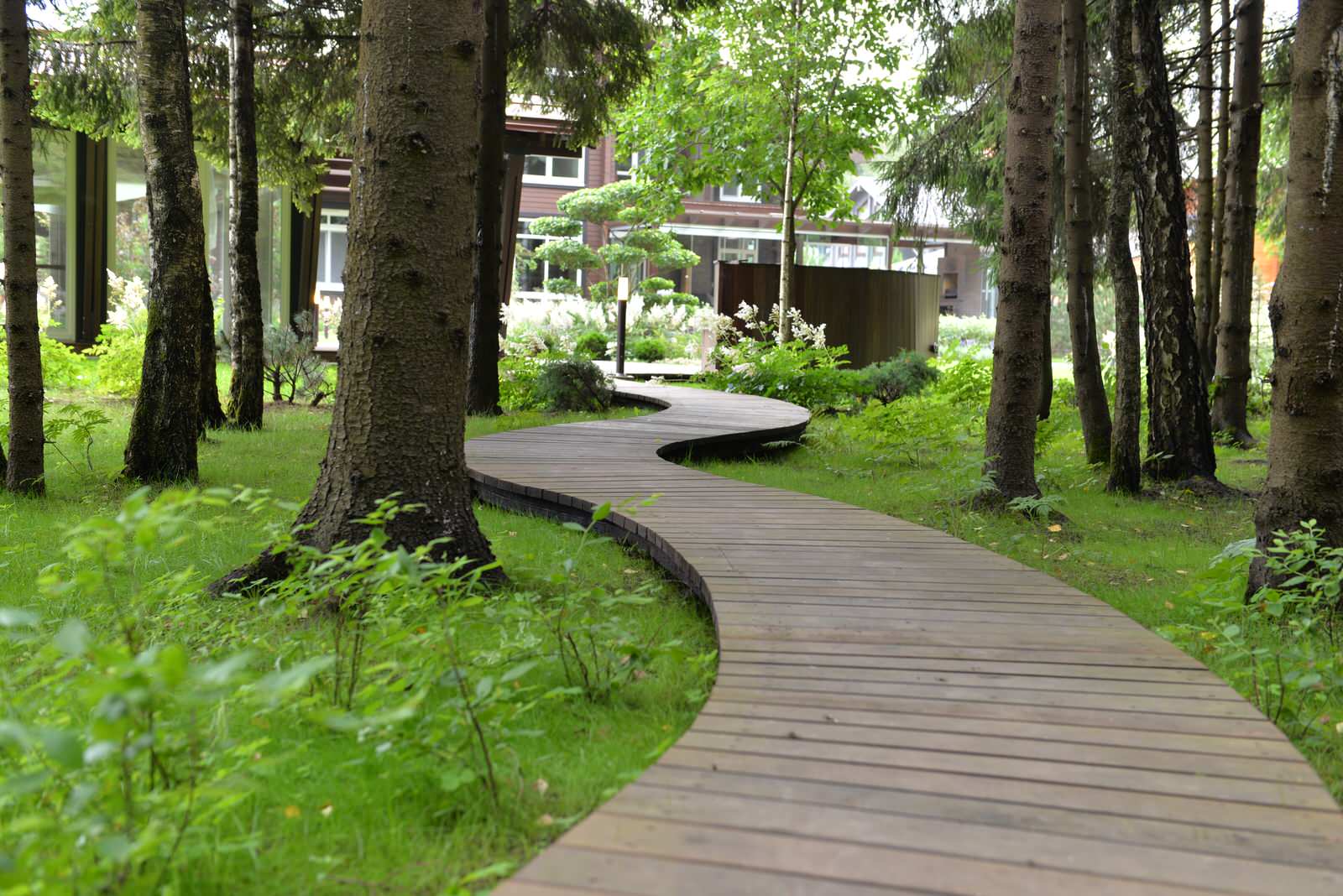 Духанино, 2015