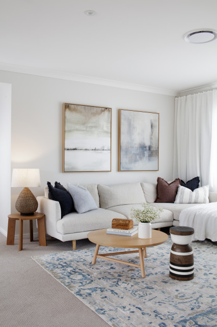 Project Serenity contemporary-living-room