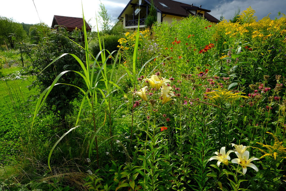 Зеркальный Ландшафтное проектирование