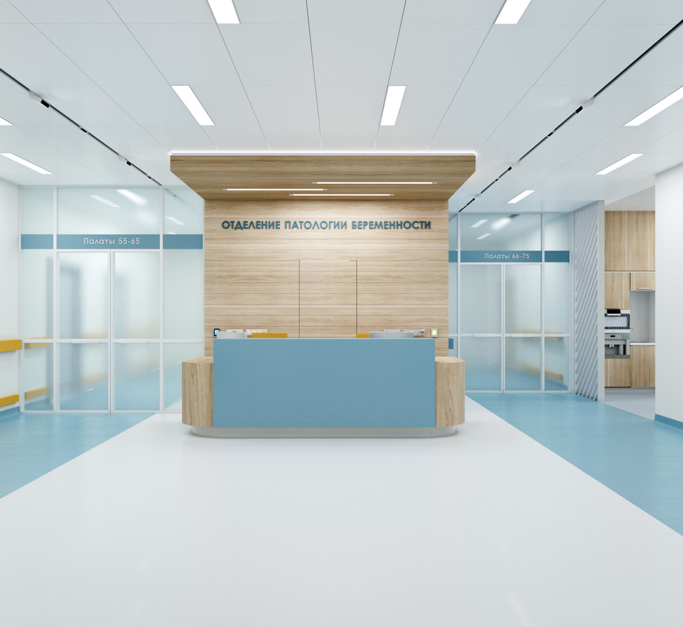 Дизайн проект Перинатального центра
