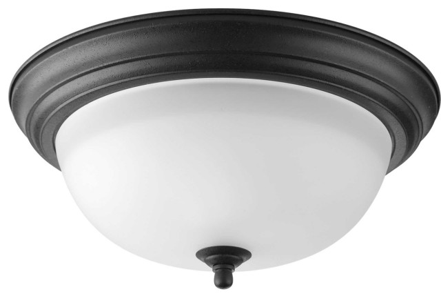 2-Light Dome Glass 13.25" Close-to-Ceiling in Forged Black