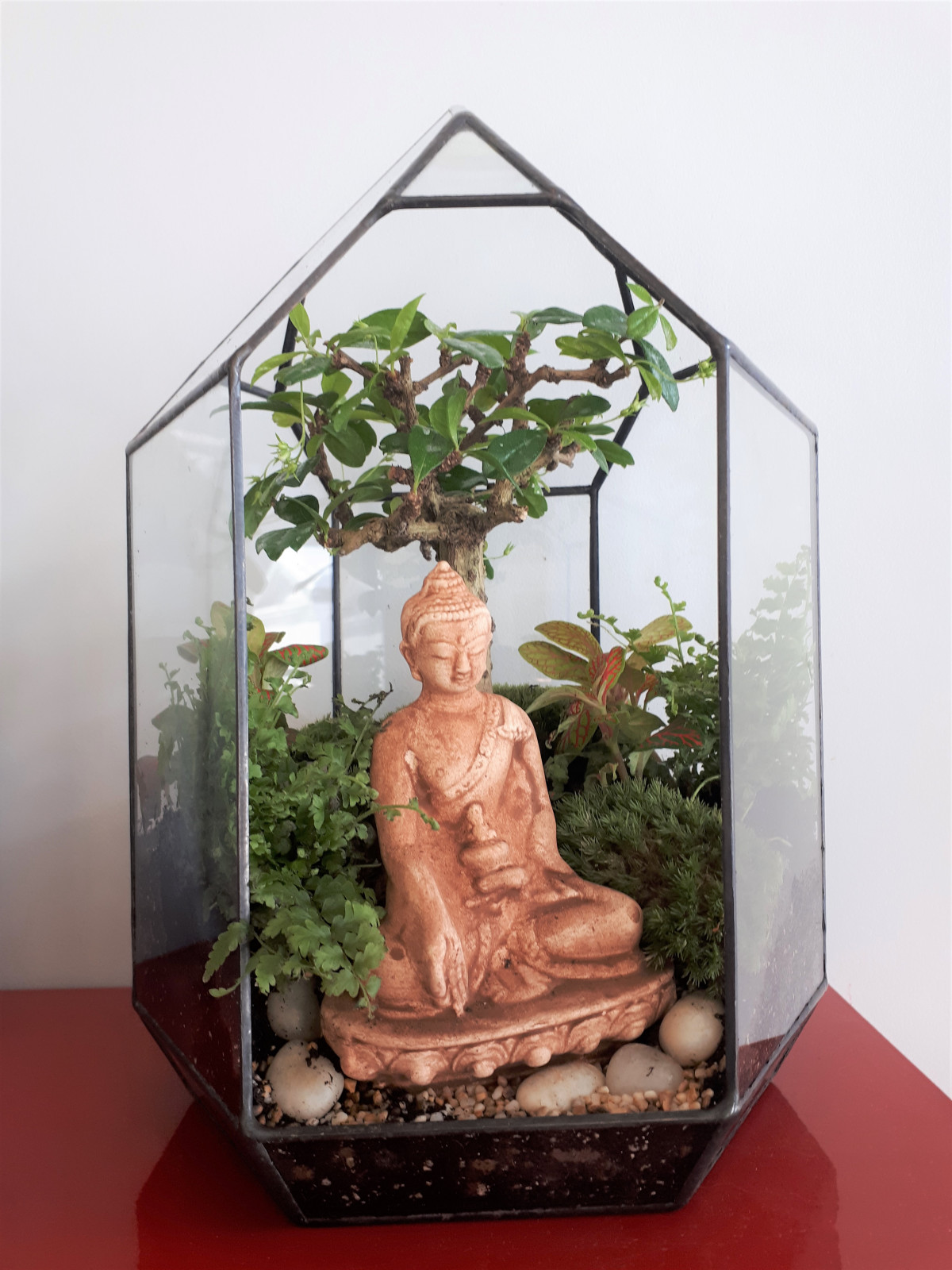 Настольные флорариумы