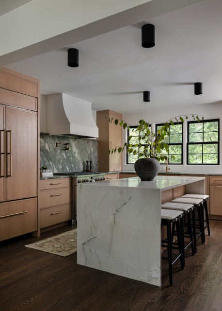 Organic Modern Kitchen Renovation transitional-kitchen