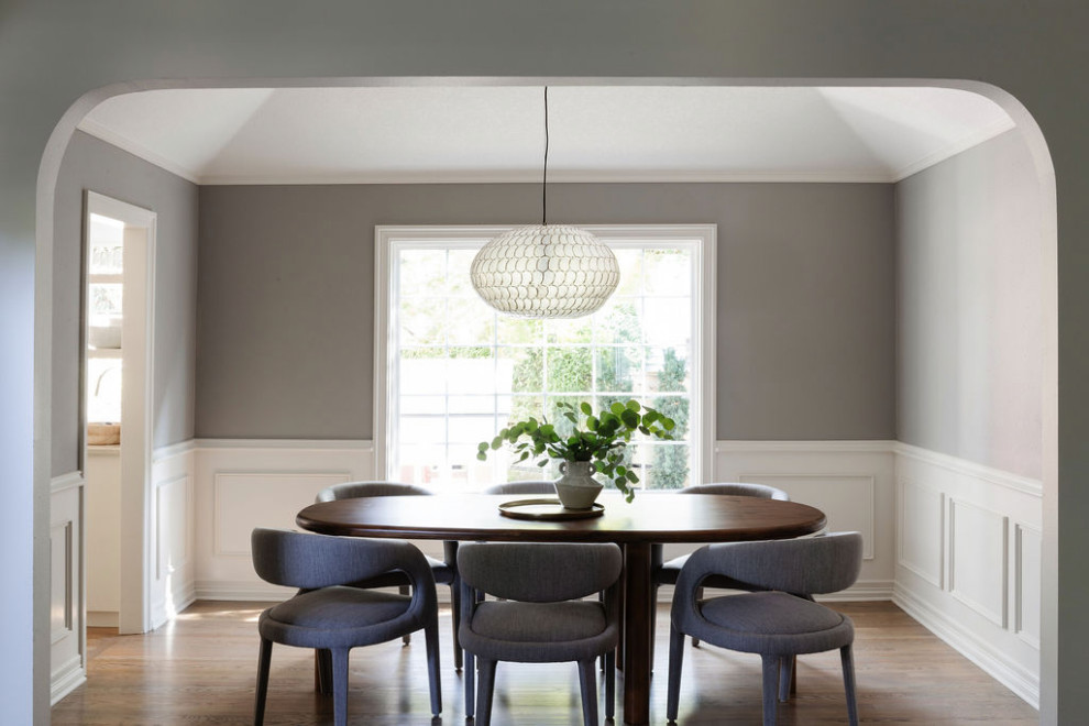 Ispirazione per una sala da pranzo contemporanea con pareti grigie e pavimento in legno massello medio