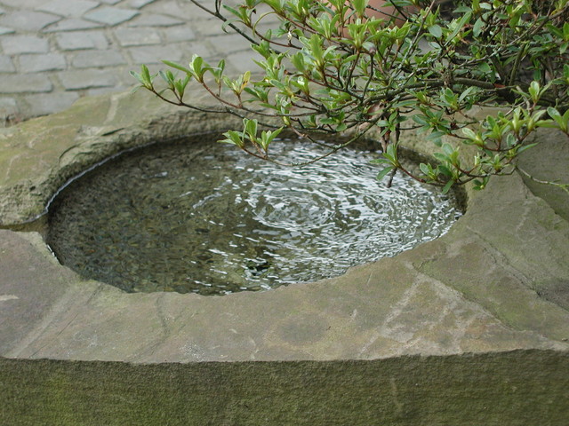 Wasser 
