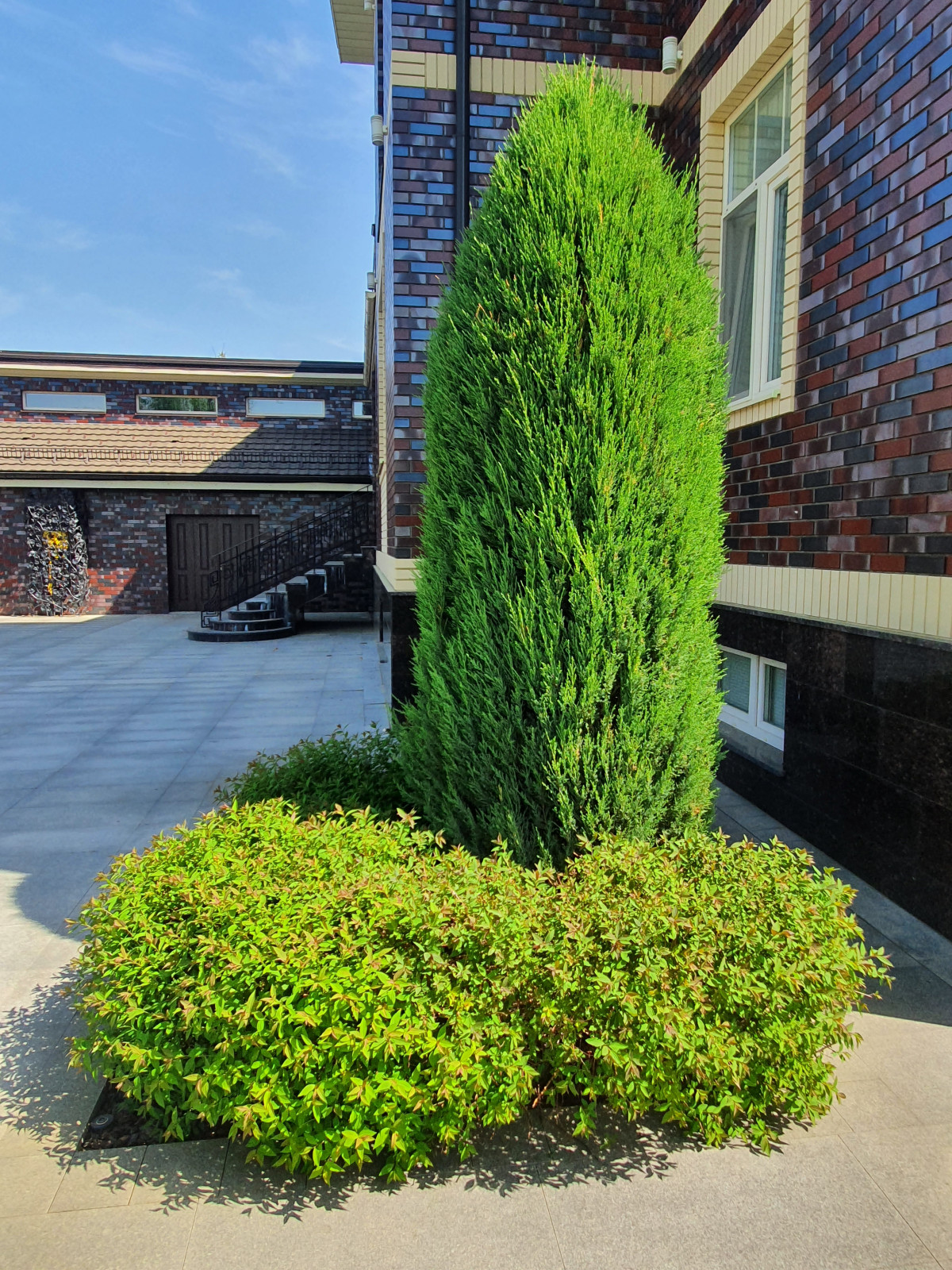 Летова роща