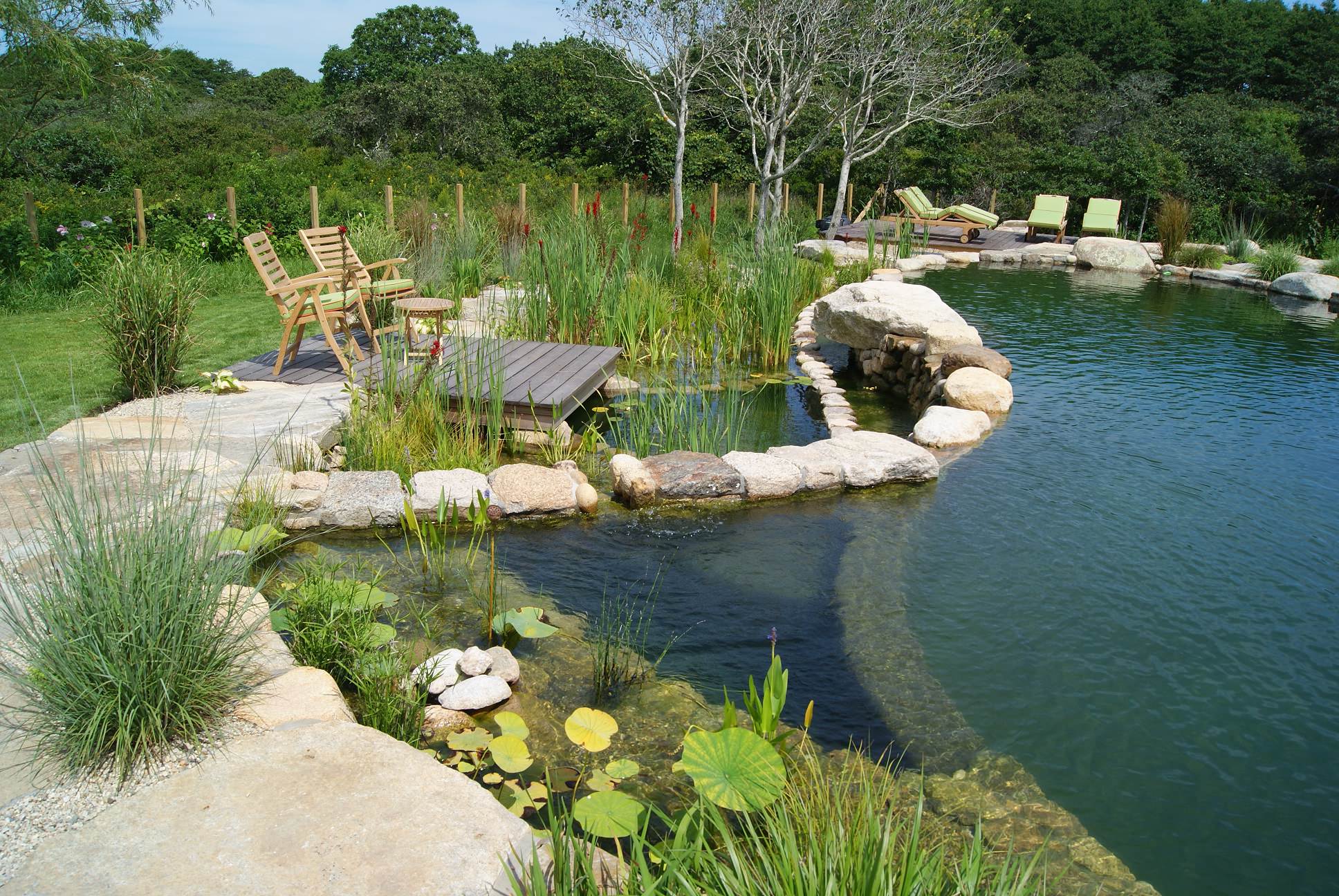 Natural Swimming Pools: More Beauty, No Chemicals, image size:1936x1296