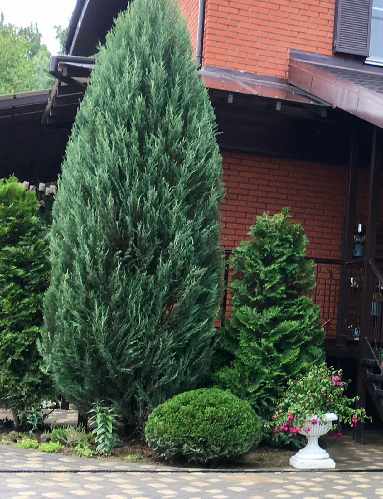 Красная Пахра