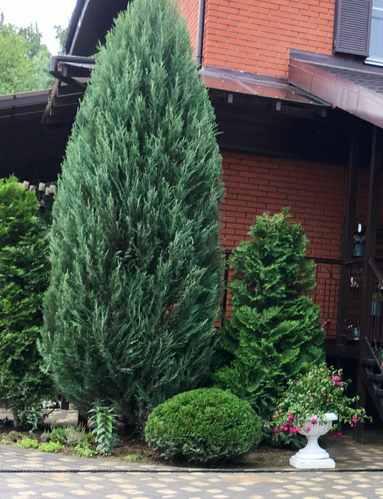 Красная Пахра