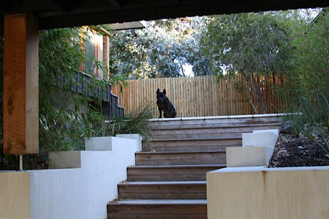 Sunset Strip contemporary-fasad