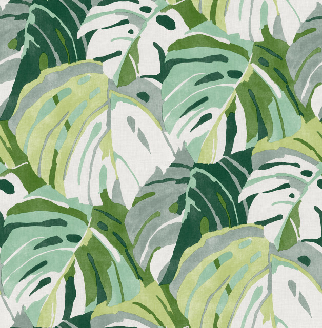 Green Adansonii Peel and Stick Wallpaper Sample