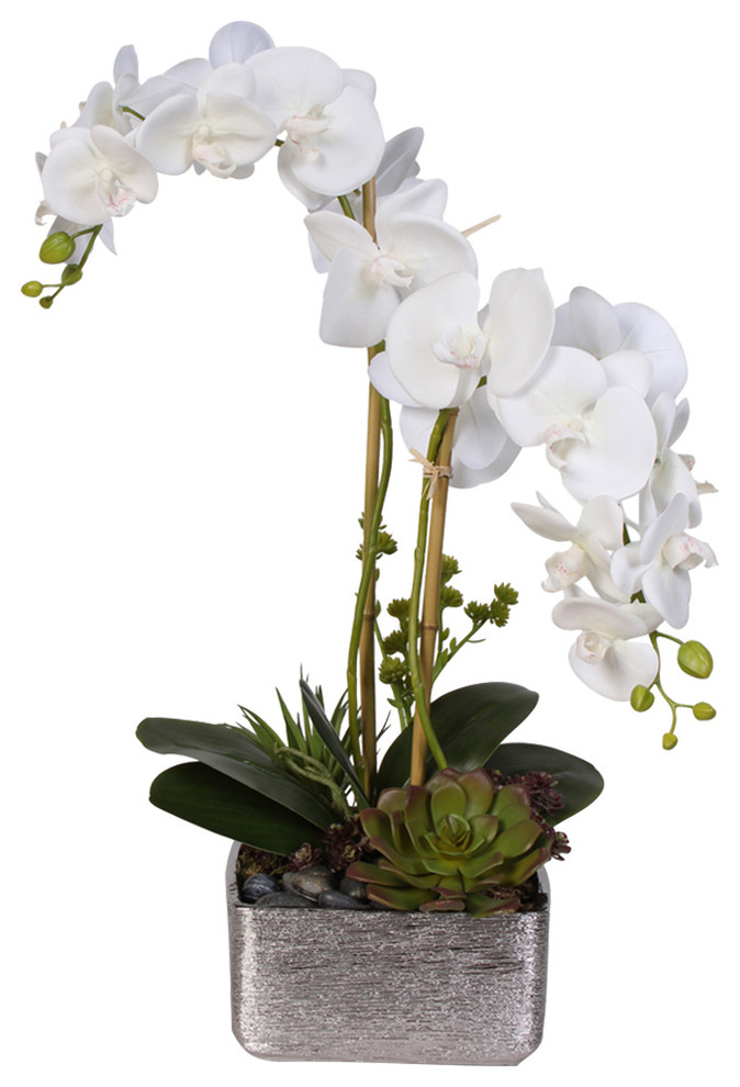Real Touch White Phalaenopsis Orchid With Succulents in a Silver ...