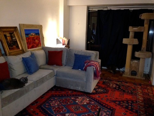 need RUG ideas to go with my light grey sofa and blue curtains...?