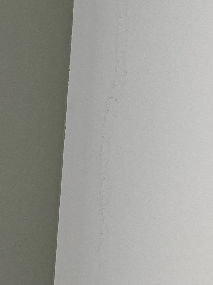 skimmed ceilings painted…now chipping