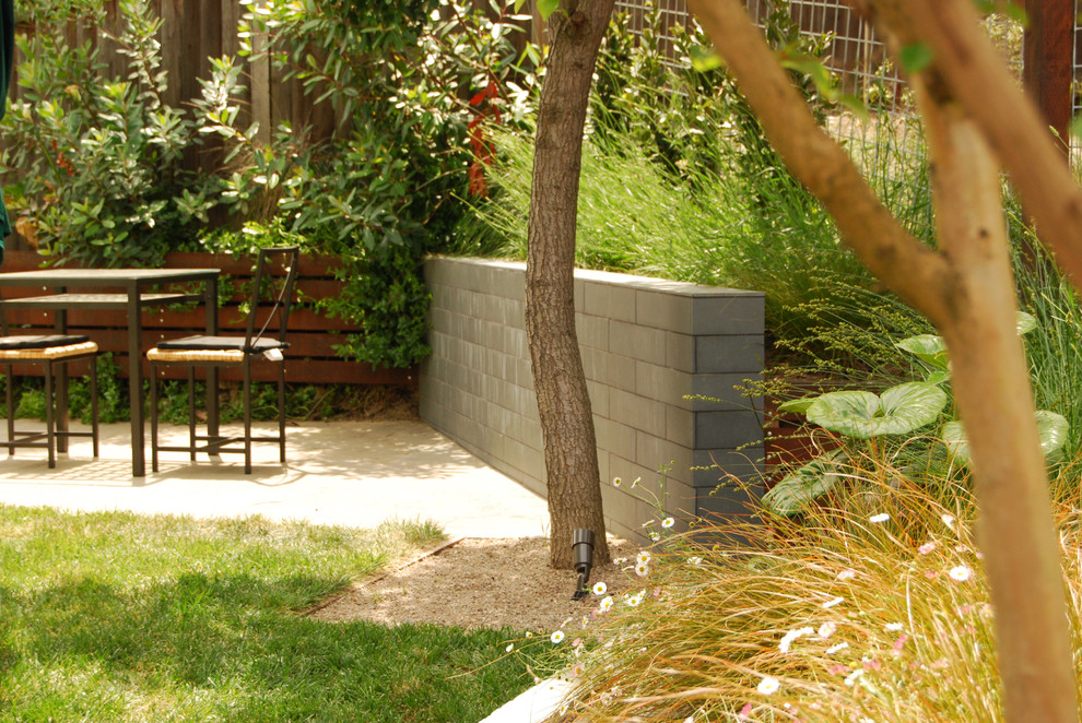 Mid-sized modern backyard formal garden in San Francisco with a water feature.