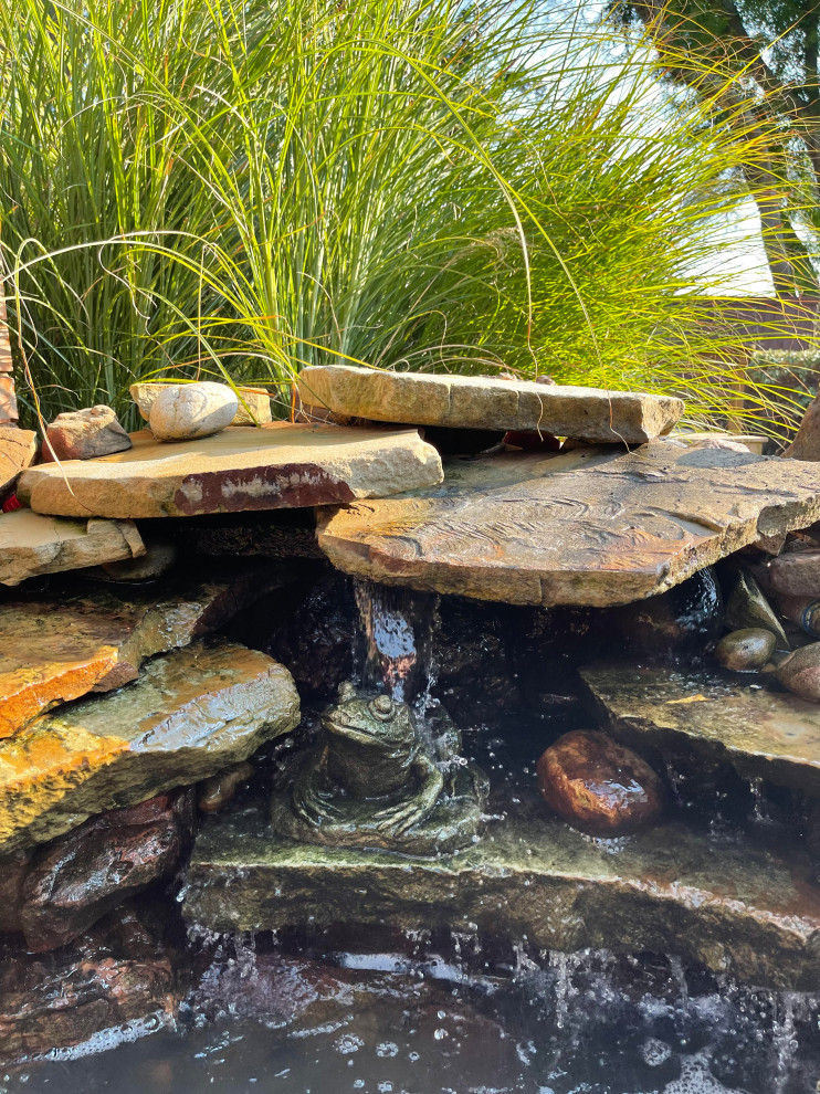 Modern High Contrast Traditional Landscape Dallas by Extreme