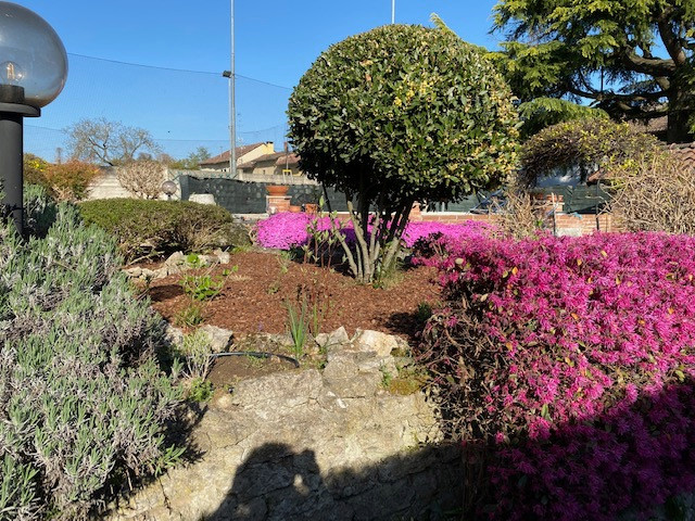 Un giardino roccioso