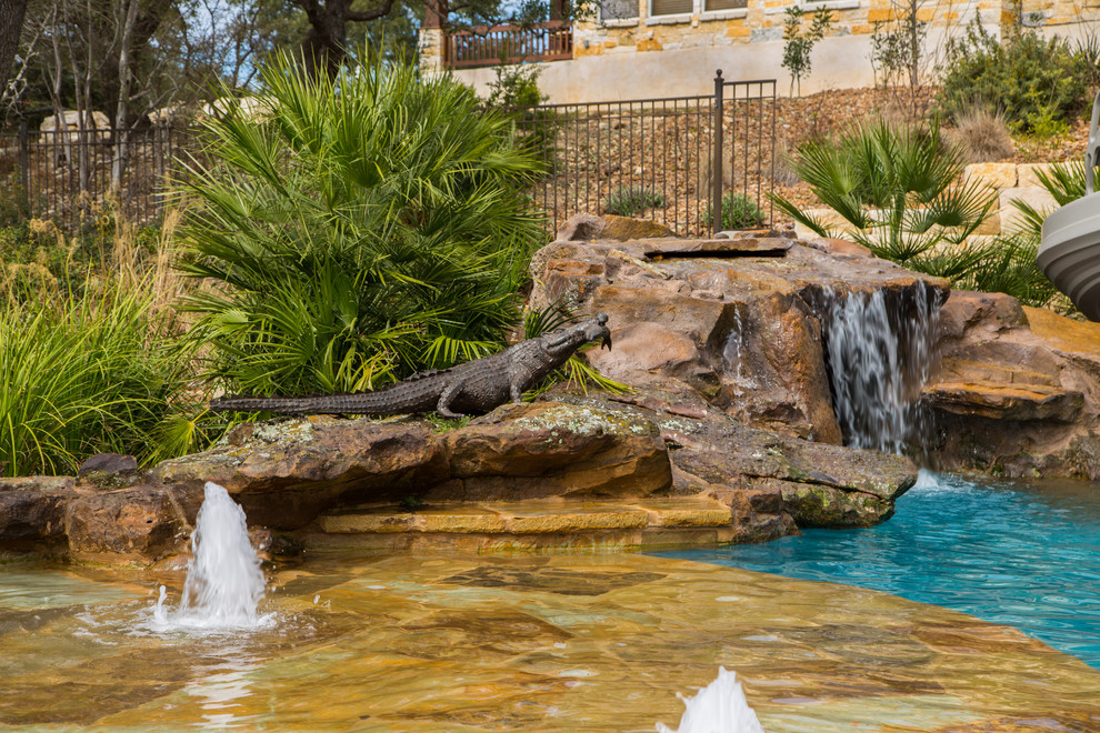 Design ideas for a tropical pool in Austin.