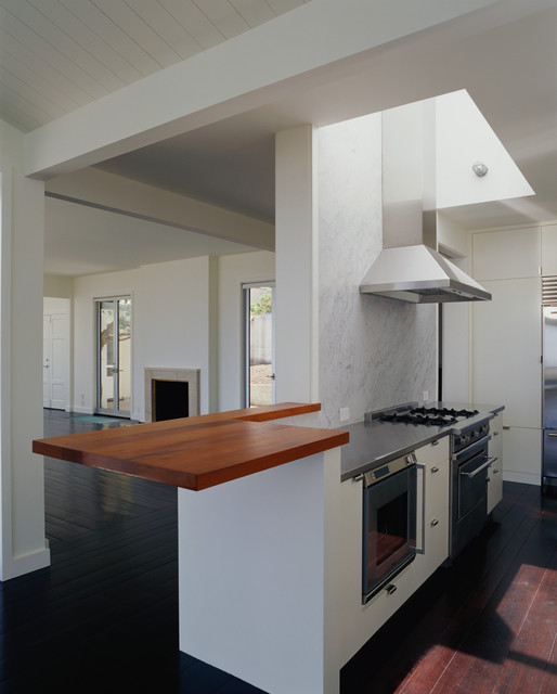 Tree House contemporary-kitchen
