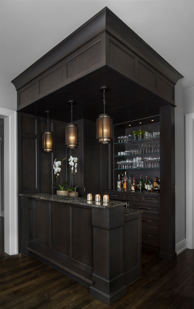 Photo of a transitional galley wet bar in Detroit with dark wood cabinets, dark hardwood floors and recessed-panel cabinets.