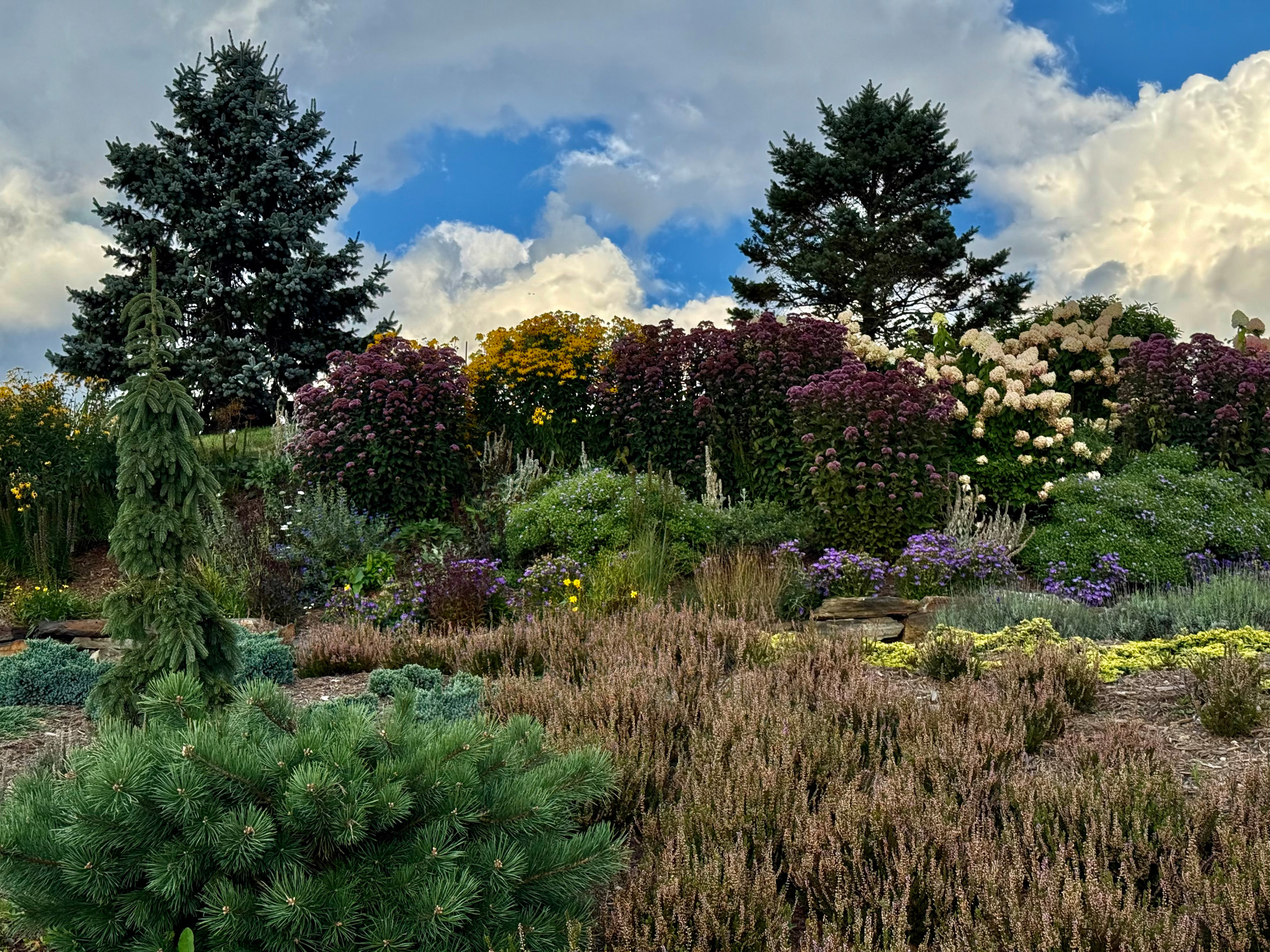 Yard of the Week: Mountaintop Garden Bursting With Color