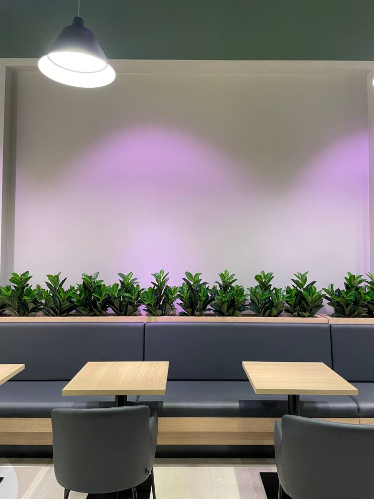 Фудкорт г.Санкт-Петербург