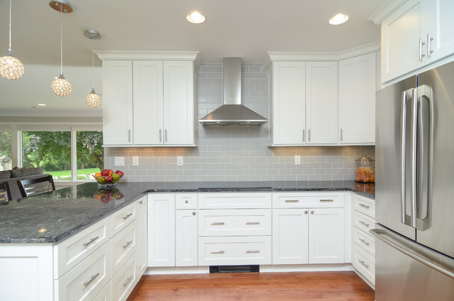 1140 SDC transitional-kitchen