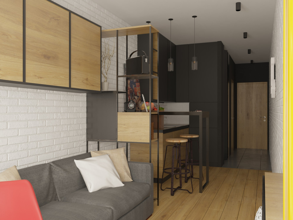 Студия- апартаменты