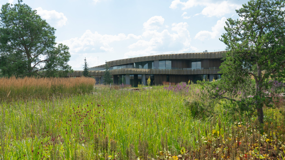 Природный сад. Жуковка XXI век. 2017-2018 гг.