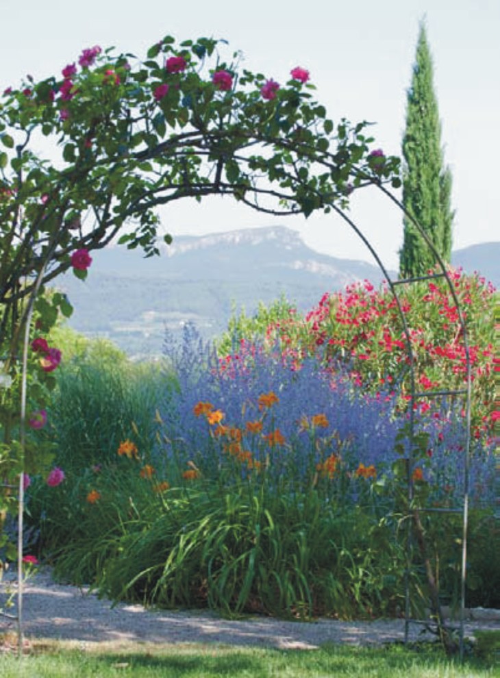 Design ideas for a mediterranean garden in Marseille.