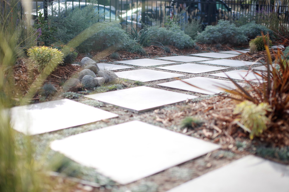 Design ideas for a contemporary front full sun garden for autumn in Los Angeles with a garden path and concrete paving.