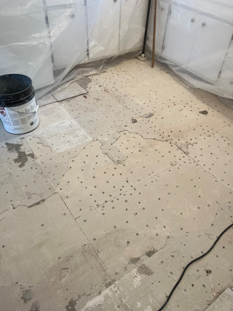 National Park, New Floors