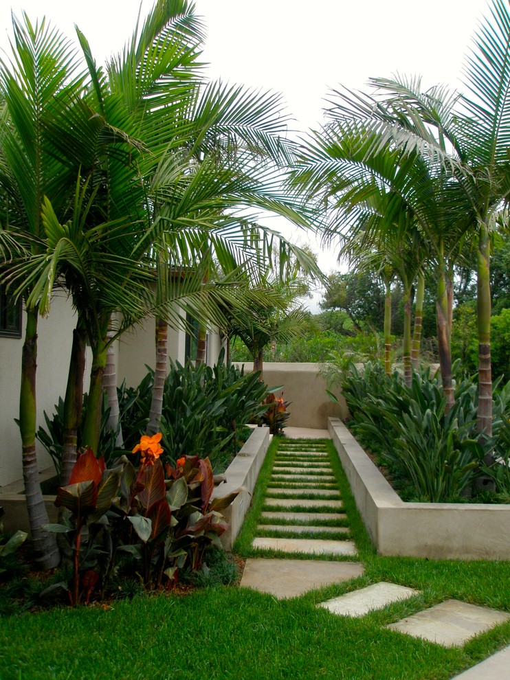 Design ideas for a contemporary full sun garden in Santa Barbara.