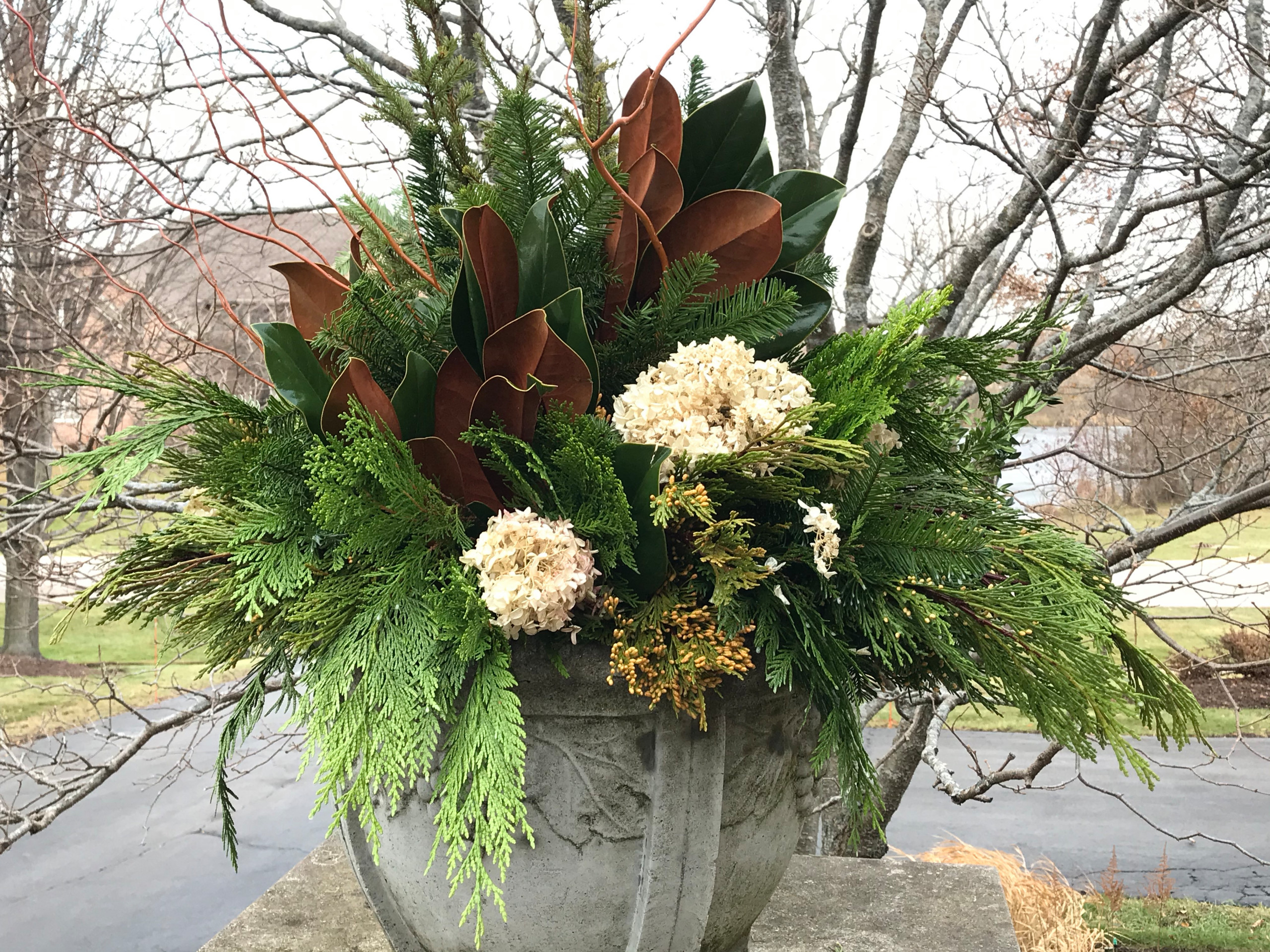 Winter containers and Holiday Decorations
