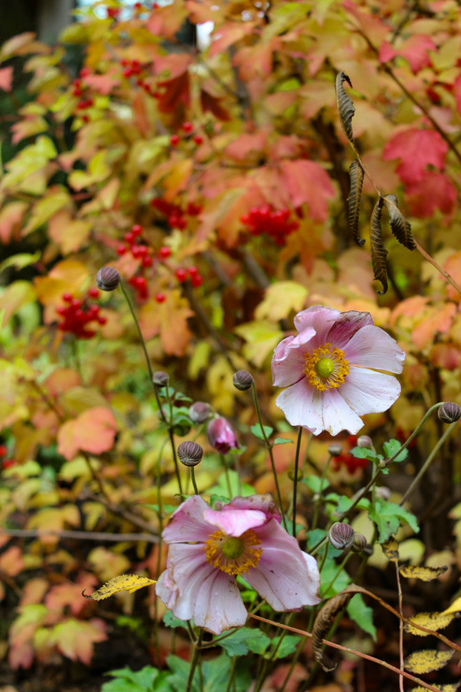 Генеральские дачи