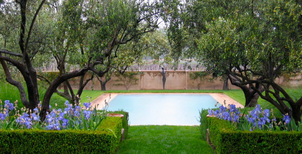Inspiration for a mediterranean pool in Orange County.