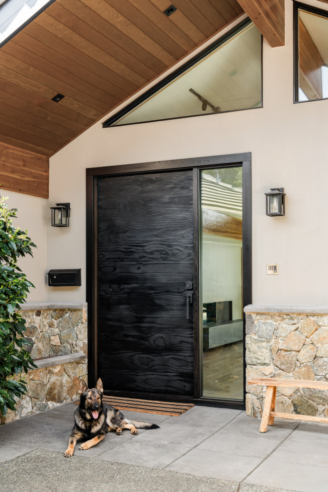 Large minimalist front door photo with a black front door