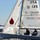 david_reich8066