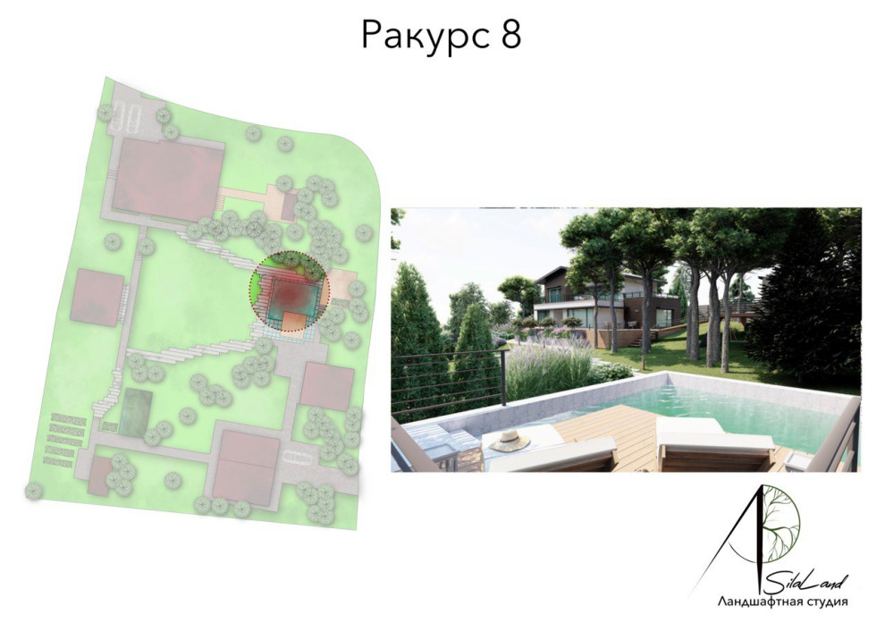 Солнце в кронах