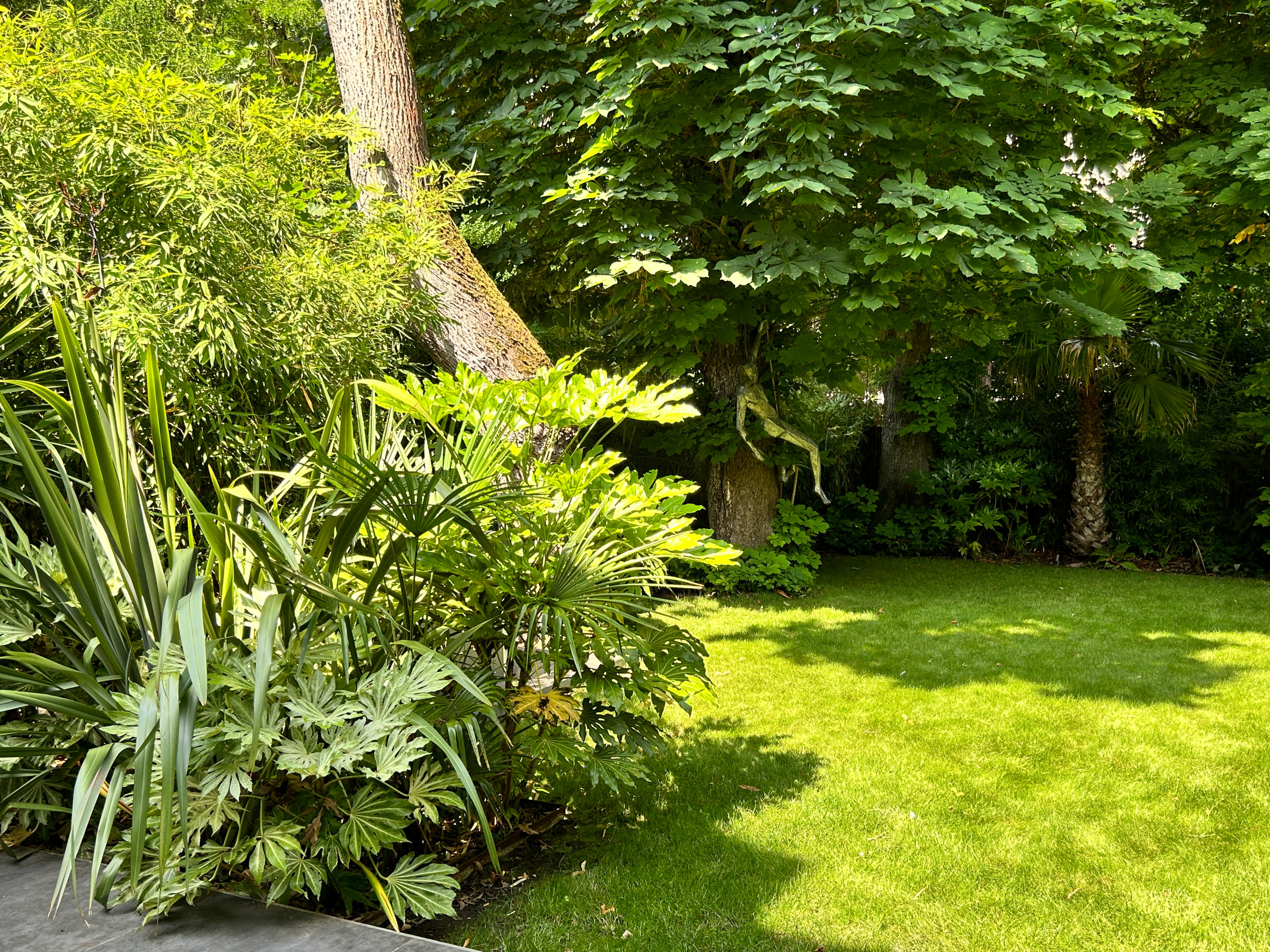 Réalisation d'un jardin tropical