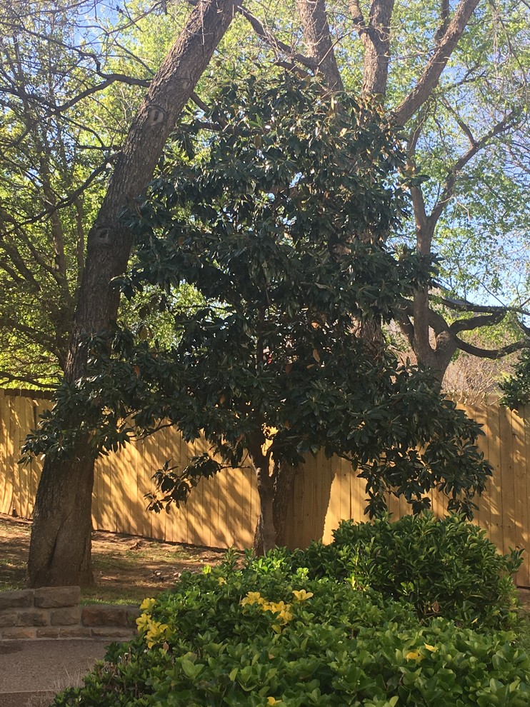 Is it possible to sell a mature tree from your yard?