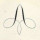 amanda_roa8