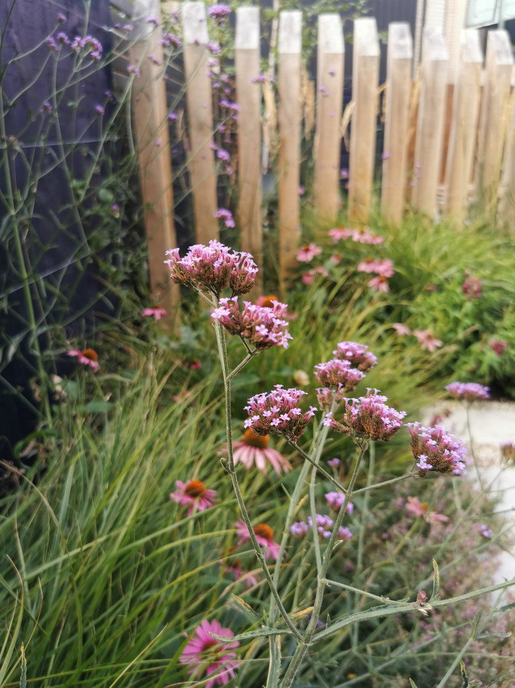 Ejemplo de jardín minimalista pequeño con parterre de flores y exposición total al sol