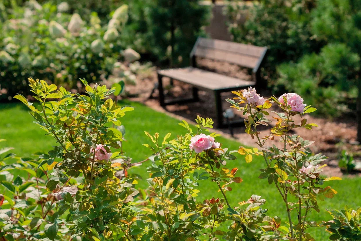 Сад Лабиринт