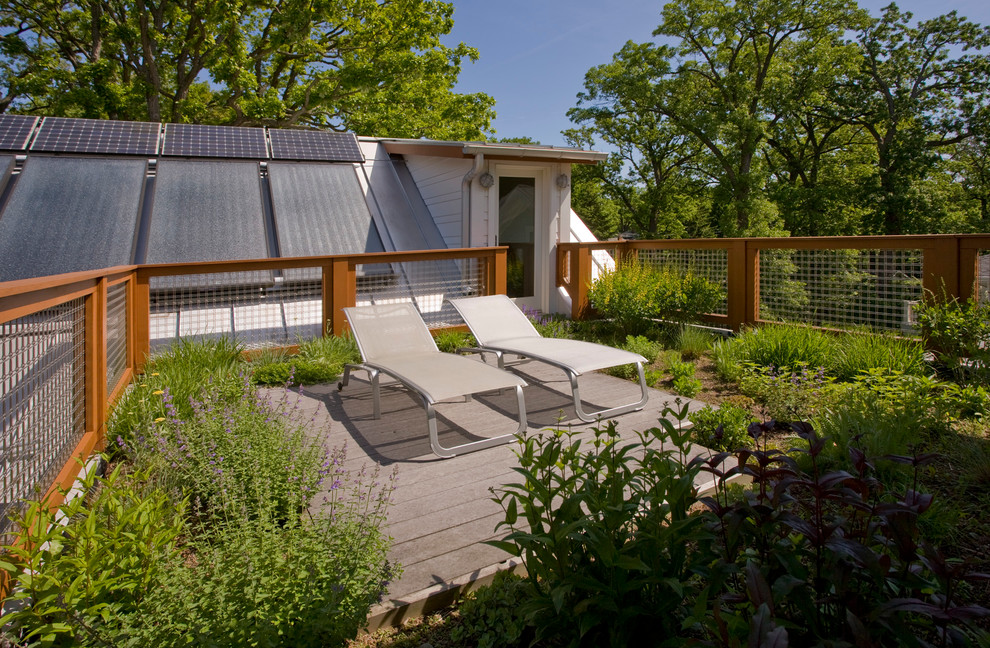 This is an example of a mid-sized contemporary rooftop deck in Chicago with a container garden and no cover.
