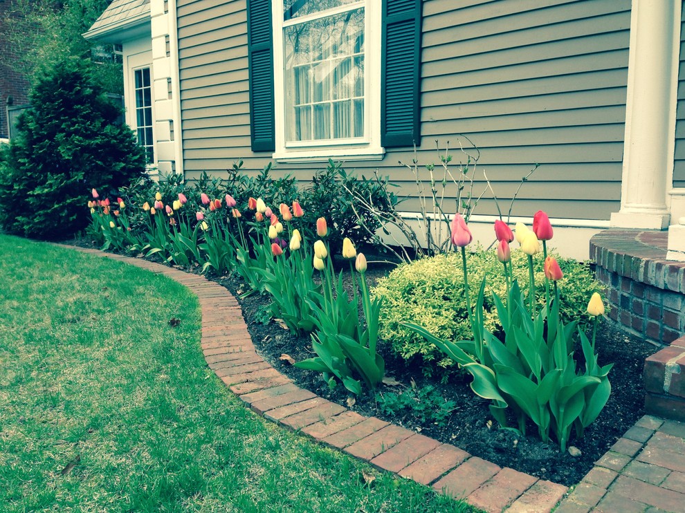 This is an example of a mid-sized traditional front yard full sun formal garden for spring in Providence with a garden path and mulch.