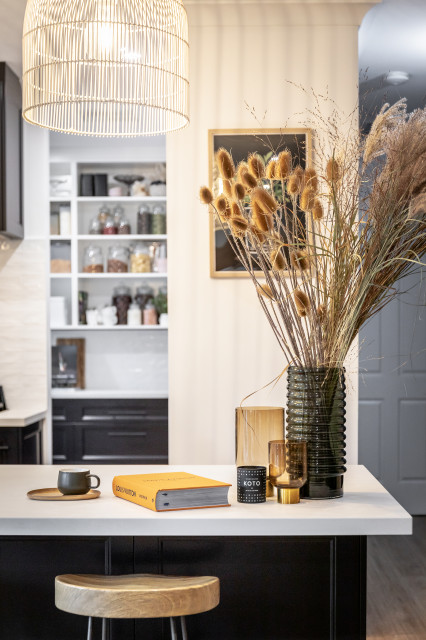 Modern Hamptons Monochrome Kitchen transitional-kitchen